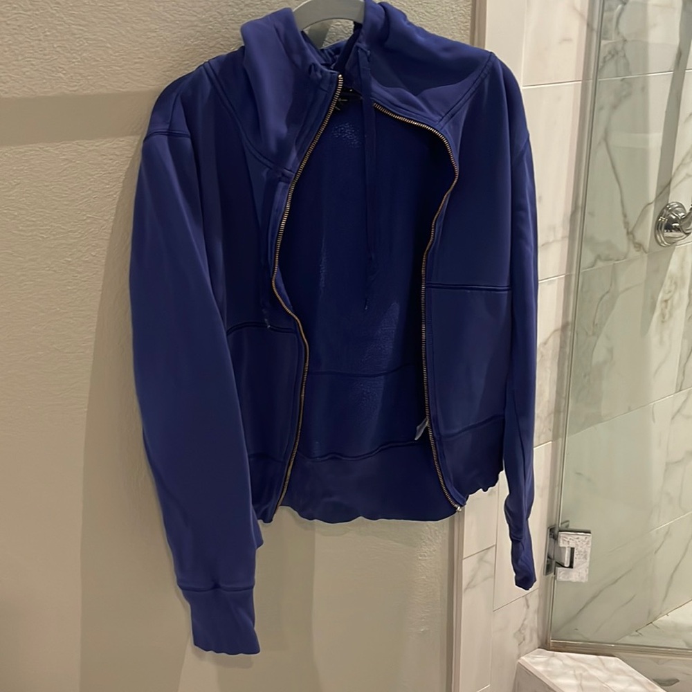 Champion blue hoodie